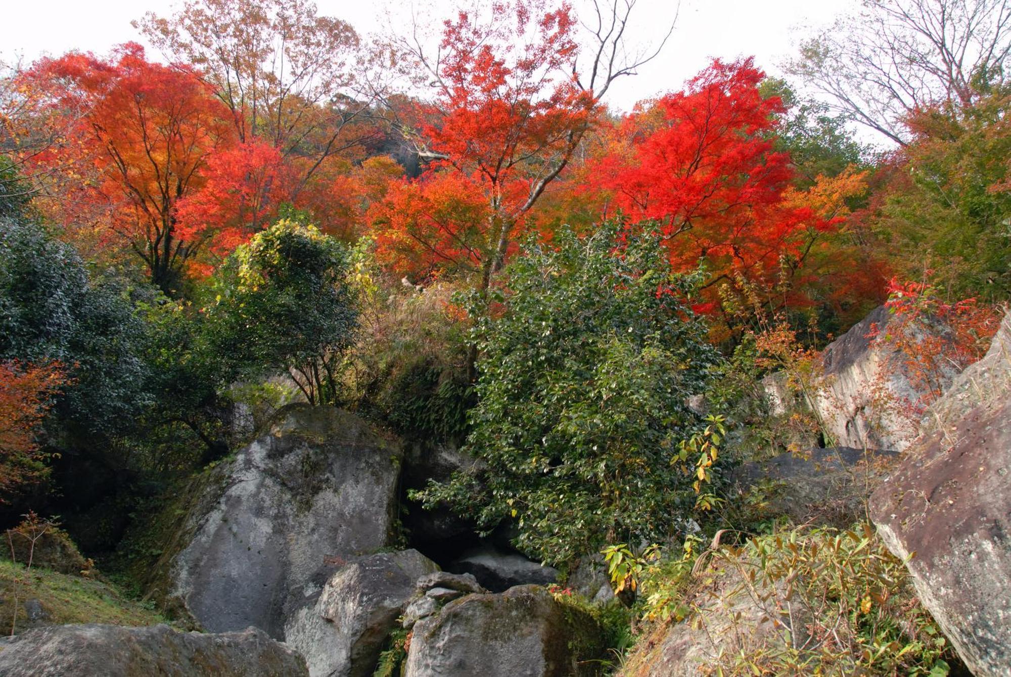 Auberge Funoki นาคาซุ ภายนอก รูปภาพ