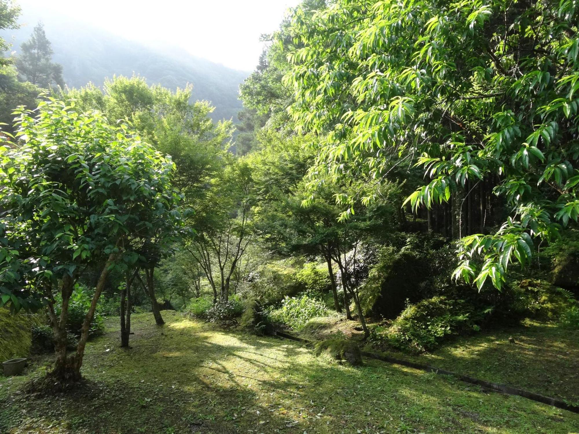 Auberge Funoki นาคาซุ ภายนอก รูปภาพ